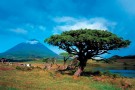 Pico Island