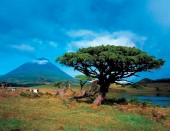 Pico Island