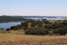 Aquelva