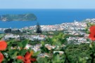 Azores Flora