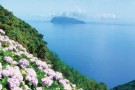 Azores