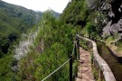 3717864096_f74a2a179e_z