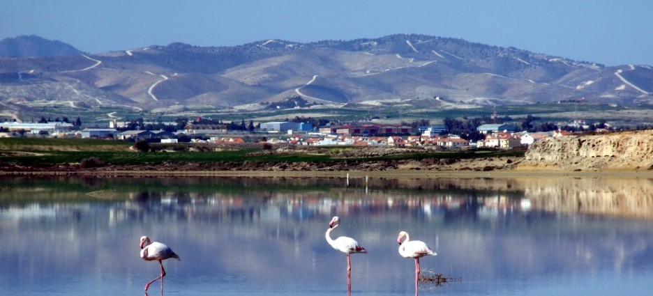 Salt Lake Larnaca