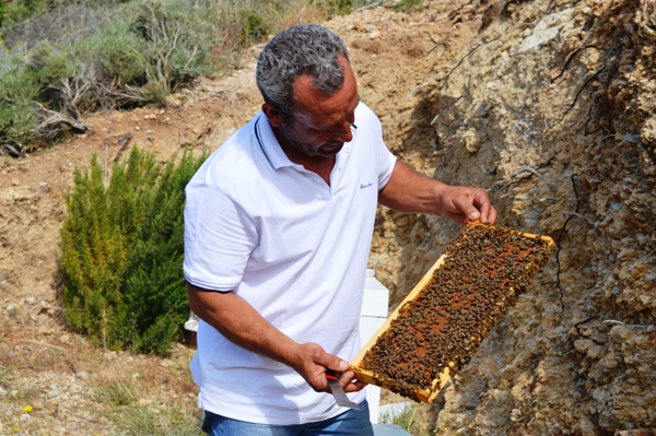 Making Greek honey