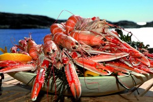 Crayfish buffet 