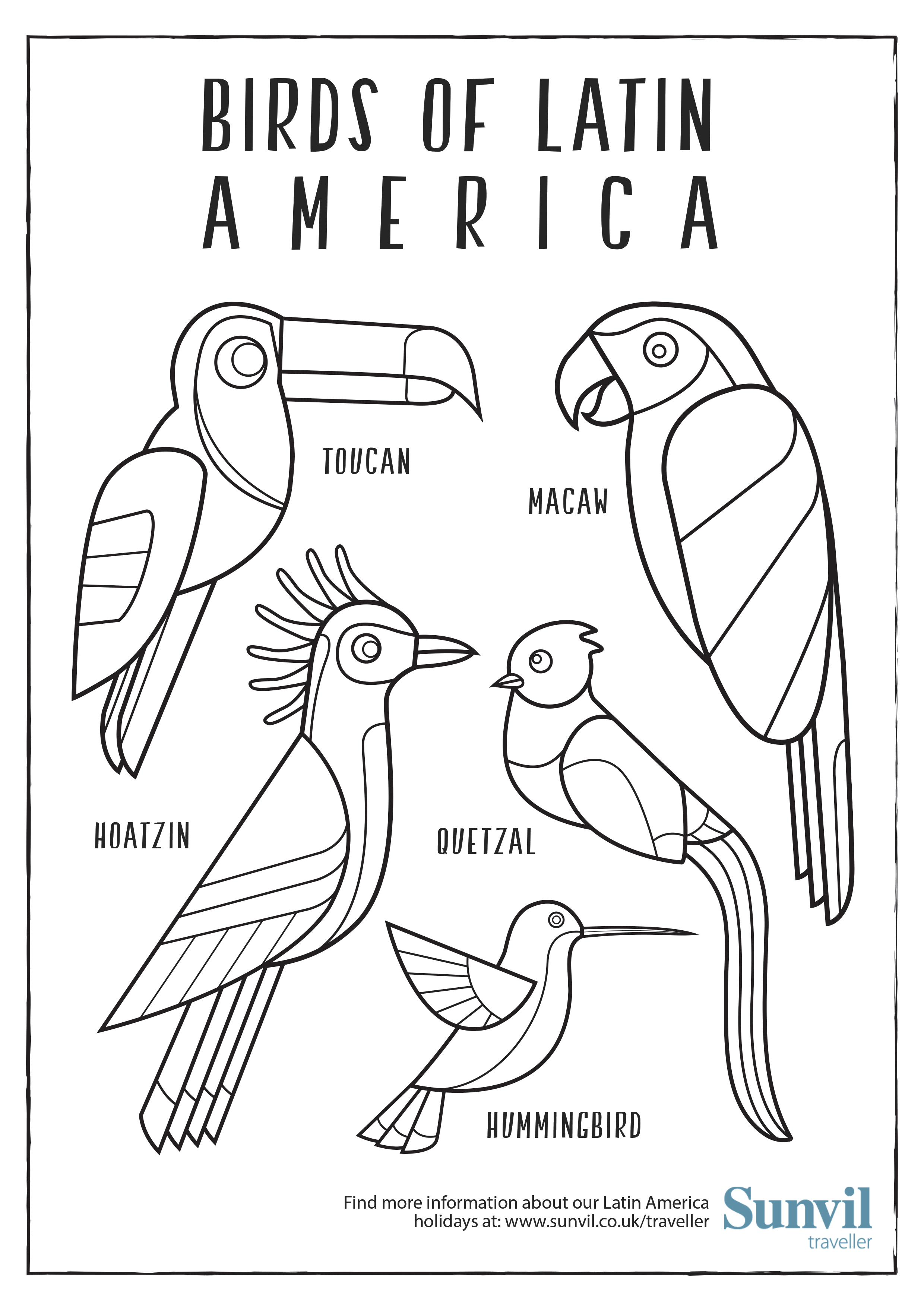 Birds of Latin America Colouring Page