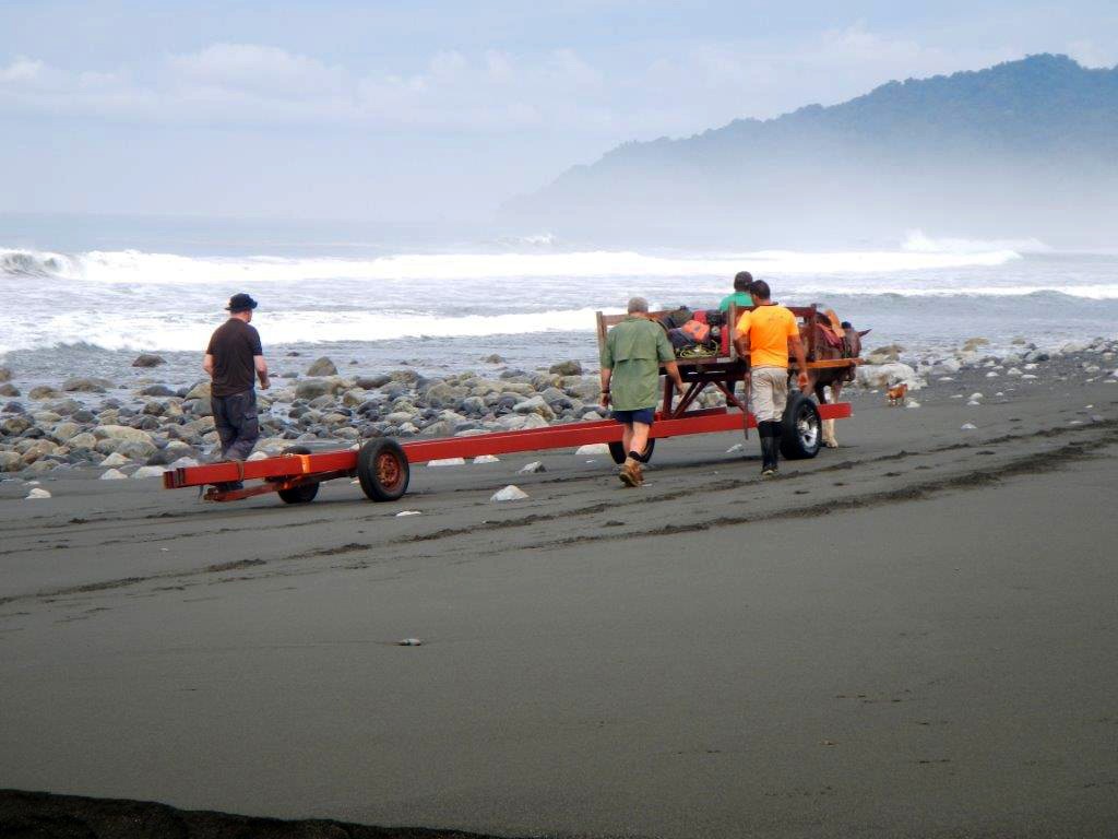 The horse and cart on the beach