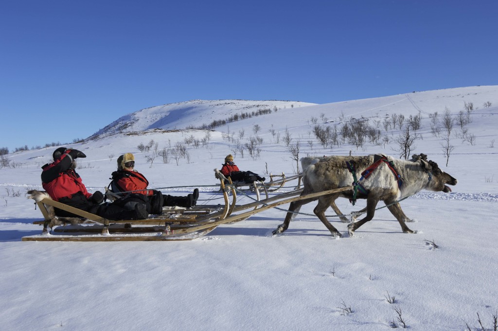 Reindeer sledding in Swedish Lapland