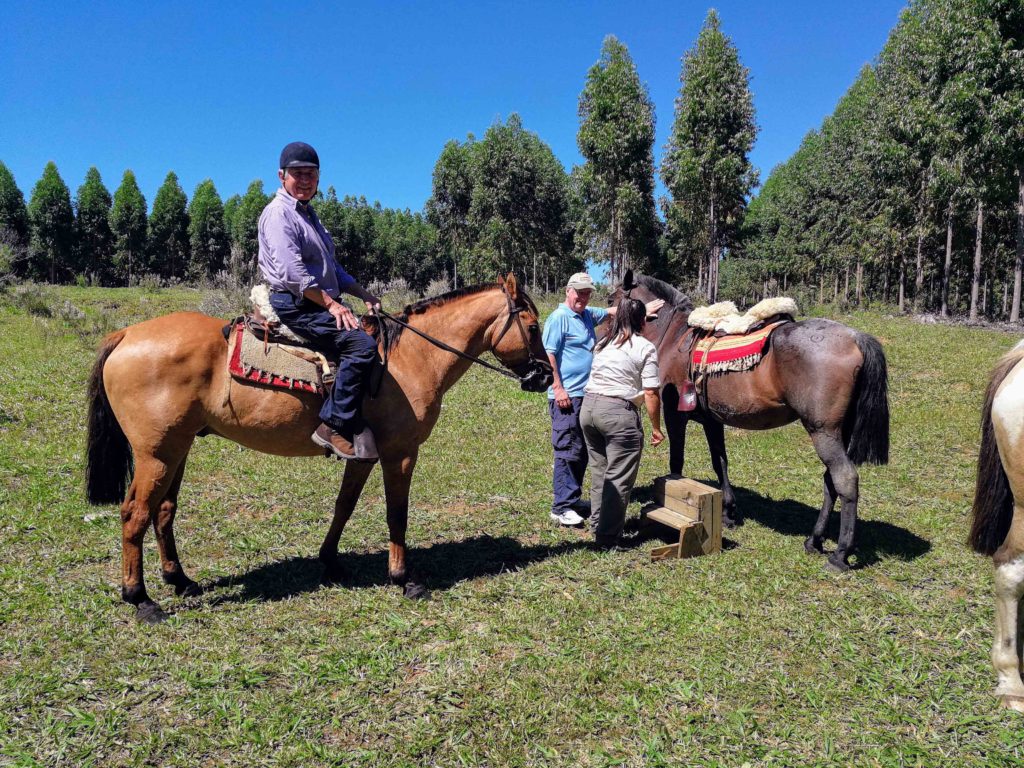 Horse riding at Puerto Valle Hotel