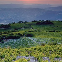Wine Villages Cyprus