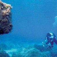 diving in latchi